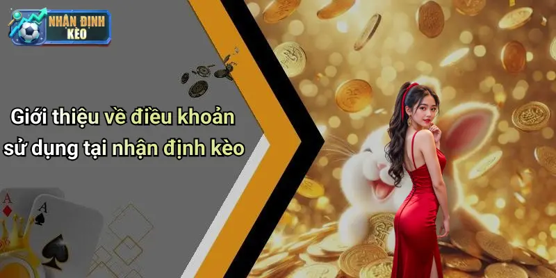Giới thiệu về điều khoản sử dụng tại nhận định kèo