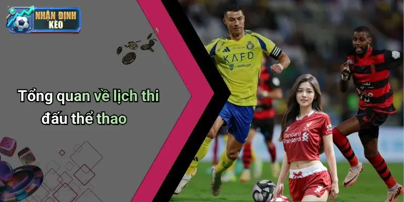 Tổng quan về lịch thi đấu thể thao