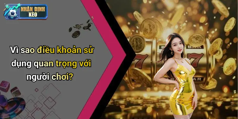 Vì sao điều khoản sử dụng quan trọng với người chơi?