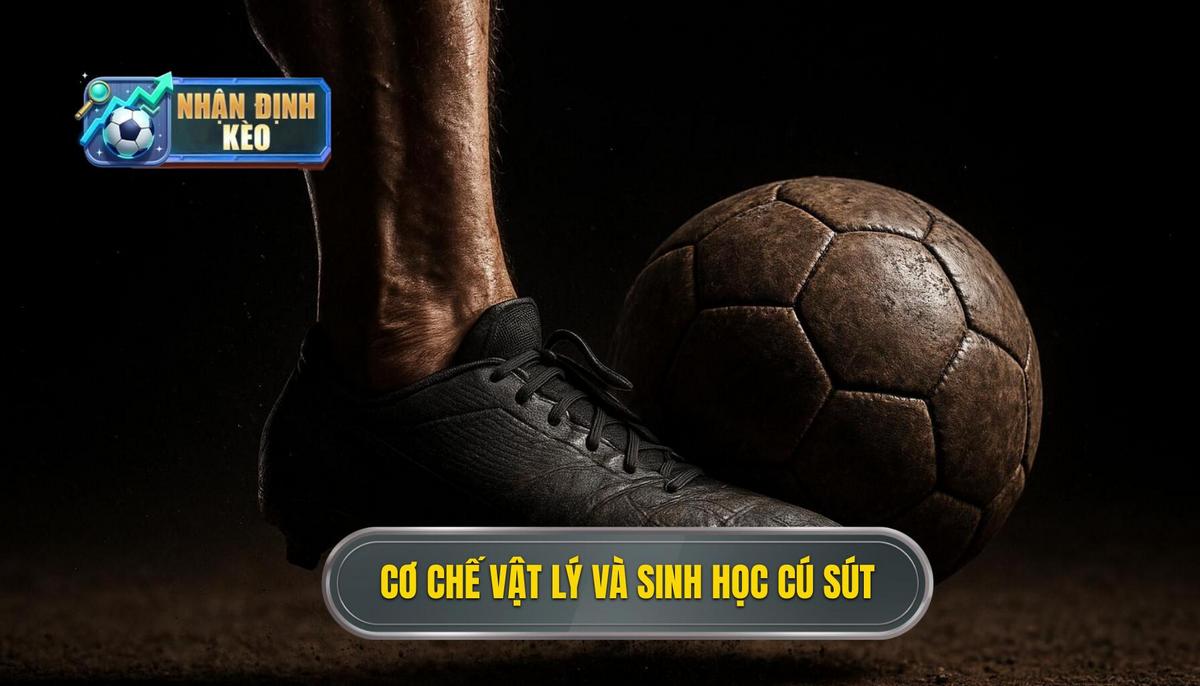 Cơ chế vật lý và sinh học của Cú sút Mũi Giày