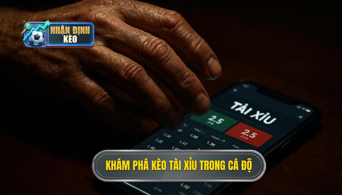 Bản chất chuyên sâu của kèo tài xỉu trong cá độ bóng đá
