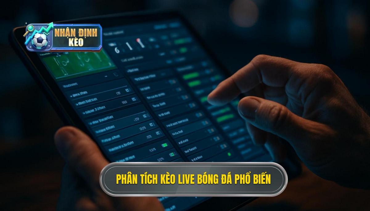 Phân tích các loại kèo live bóng đá phổ biến nhất hiện nay