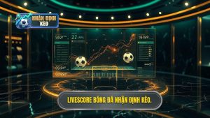 Livescore bóng đá hôm nay: Công cụ không thể thiếu cho tín đồ túc cầu giáo