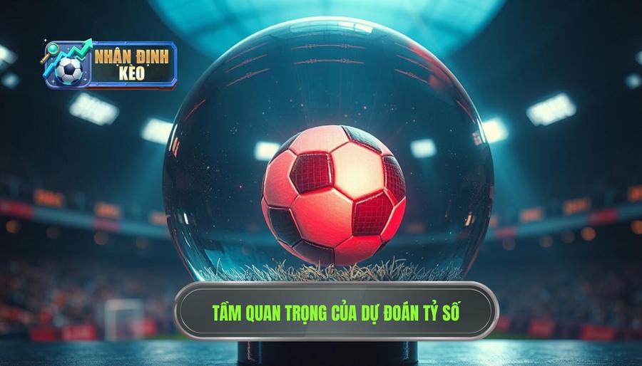 Tầm quan trọng của dự đoán tỷ số